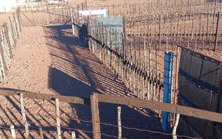 5 Bedroom Farm For Sale in Kalkrand