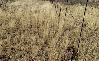 5 Bedroom Farm For Sale in Kalkrand