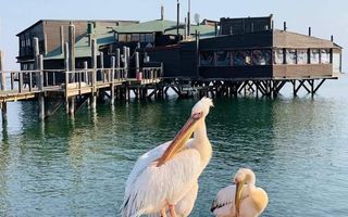 Office / Retail / Mixed Use For Sale in Walvis Bay Central