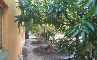 Office / Retail / Mixed Use For Sale in Helao Nafidi