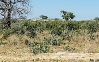 Office / Retail / Mixed Use For Sale in Rundu