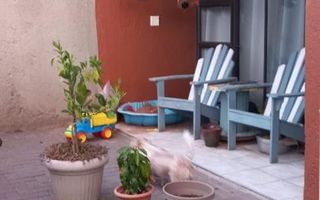 2 Bedroom Apartment/Penthouse For Sale in Elisenheim