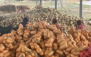 Farm For Sale in Grootfontein