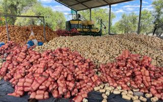 Farm For Sale in Grootfontein