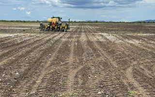 Farm For Sale in Grootfontein