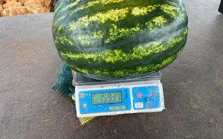 Farm For Sale in Grootfontein