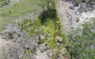 Farm For Sale in Grootfontein