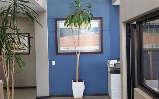 Office / Retail / Mixed Use For Sale in Walvis Bay Central