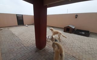 6 Bedroom House For Sale in Henties Bay Central, Henties Bay