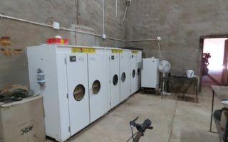 8 Bedroom Farm For Sale in Okahandja