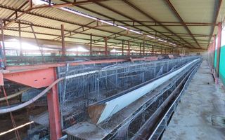 8 Bedroom Farm For Sale in Okahandja