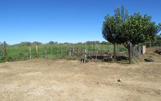 8 Bedroom Farm For Sale in Okahandja