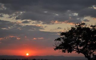 14 Bedroom House For Sale in Eros