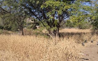 Office / Retail / Mixed Use For Sale in Klein Windhoek, Wind...