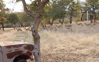 5 Bedroom Hospitality For Sale in Brakwater