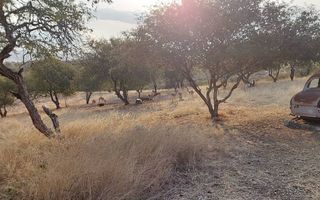 5 Bedroom Hospitality For Sale in Brakwater