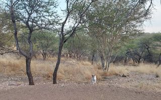 5 Bedroom Hospitality For Sale in Brakwater