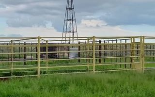 4 Bedroom Farm For Sale in Kalkrand