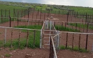 4 Bedroom Farm For Sale in Kalkrand