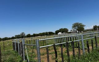 Farm For Sale in Outjo