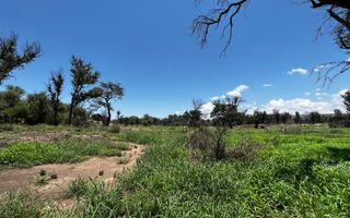 Farm For Sale in Outjo