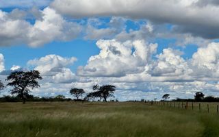 Farm For Sale in Steinhausen, Namibia