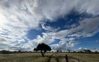 Farm For Sale in Steinhausen, Namibia