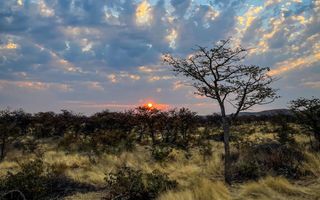 Hospitality For Sale in Outjo