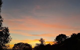 Hospitality For Sale in Outjo