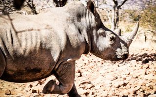 Hospitality For Sale in Outjo