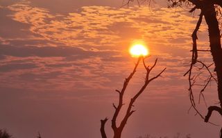 Hospitality For Sale in Outjo