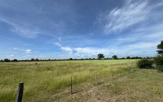 Farm For Sale in Grootfontein