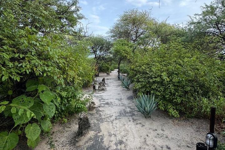 Farm For Sale in Grootfontein