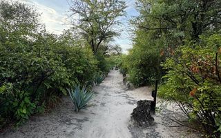 Farm For Sale in Grootfontein