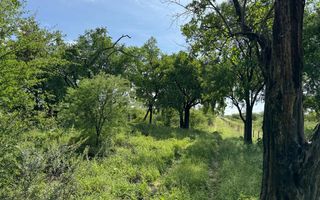 Farm For Sale in Grootfontein