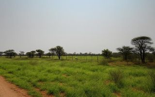 Farm For Sale in Otjiwarongo