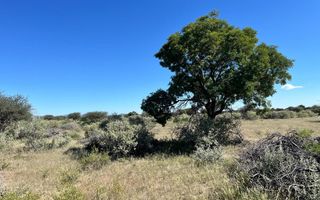 Farm For Sale in Otavi