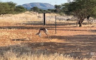 Farm For Sale in Outjo