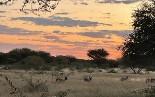 Farm For Sale in Outjo