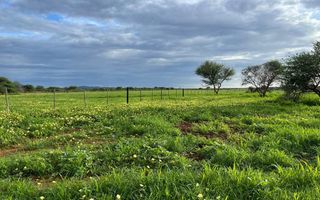 Farm For Sale in Outjo