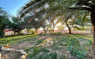 Farm For Sale in Outjo