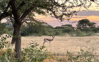 Farm For Sale in Outjo