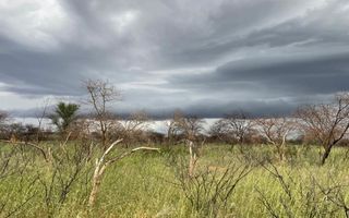 Farm For Sale in Outjo