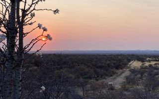 Farm For Sale in Outjo