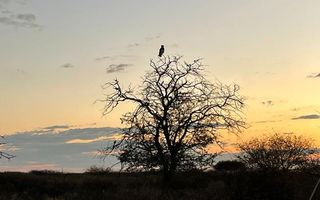 Farm For Sale in Outjo