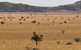 Farm For Sale in Usakos
