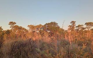 Farm For Sale in Rundu