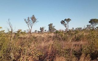 Farm For Sale in Rundu