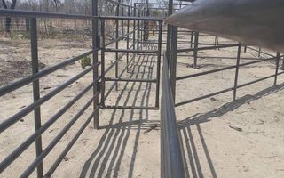 Farm For Sale in Rundu