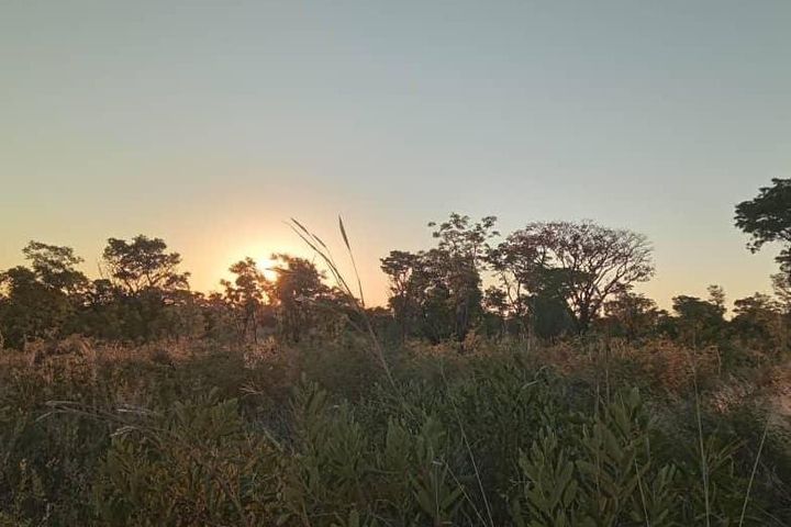 Farm For Sale in Rundu